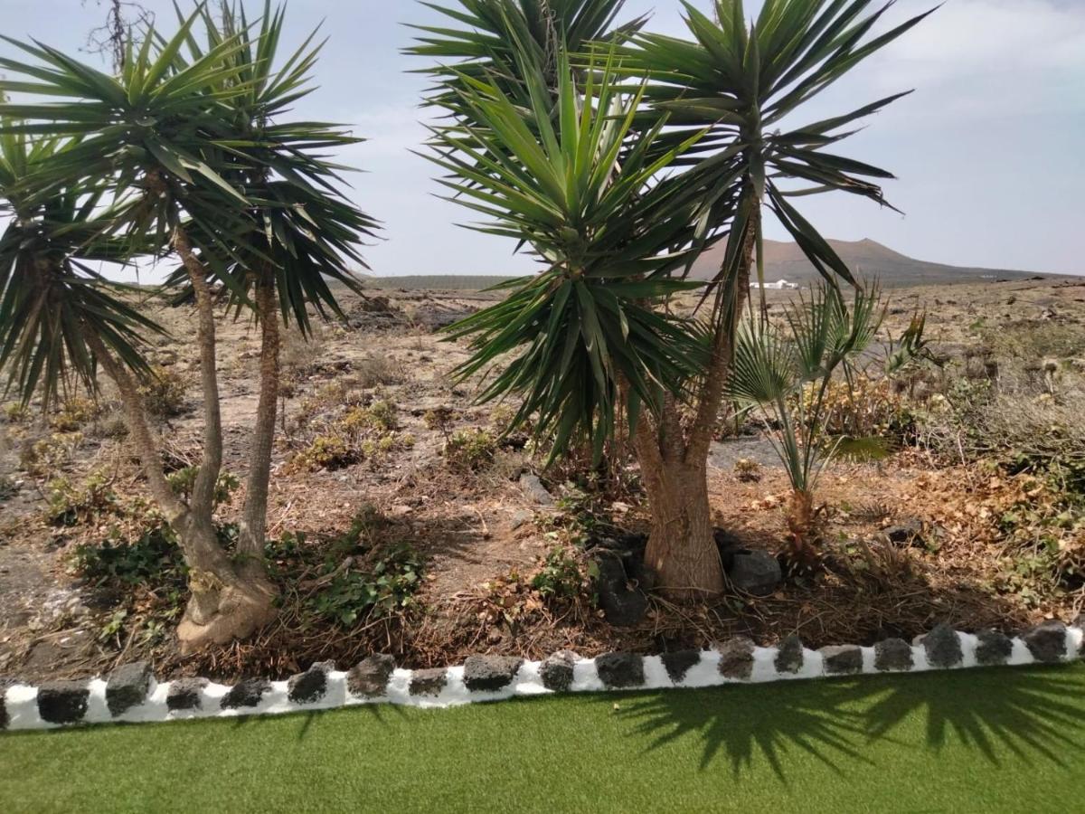 Lanzarote Casa Volcanica-Anclada Sobre La Lava Del Volcan Montana Blanca Esterno foto