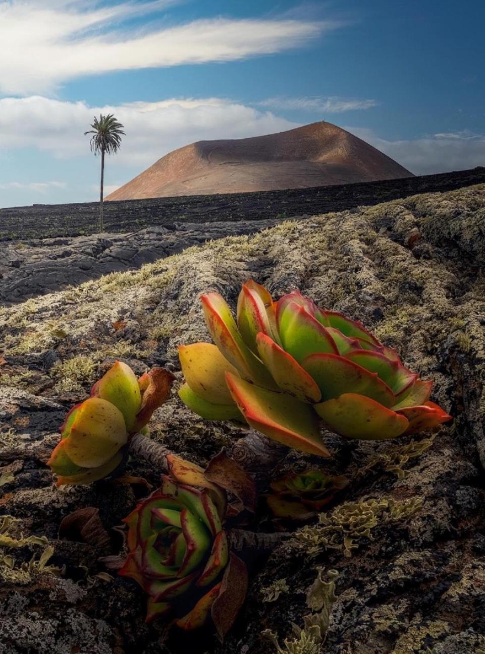 Lanzarote Casa Volcanica-Anclada Sobre La Lava Del Volcan Montana Blanca Esterno foto